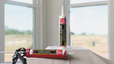 Paintable Silicone
